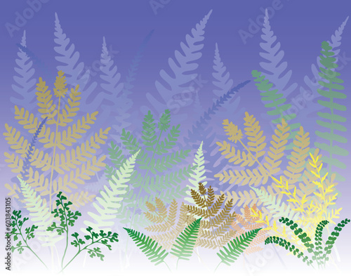 Vector background design of various fern fronds
