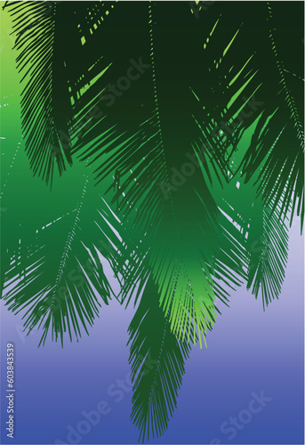 Vector design of hanging coconut palm fronds