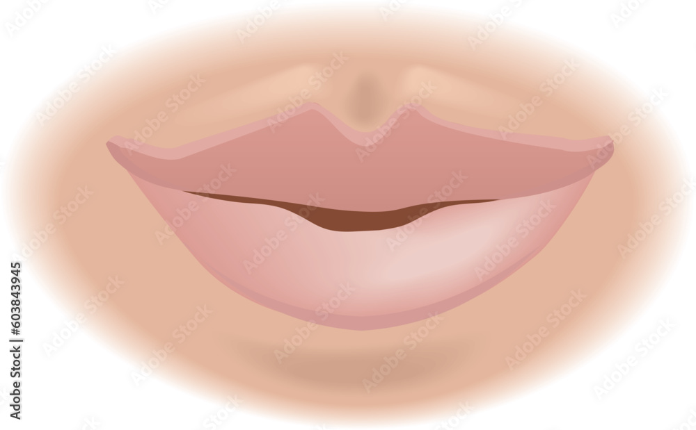 An illustration of a human mouth, no meshes used An illustration of a human mouth, no meshes used