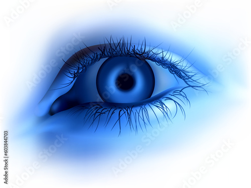 Blue human eye - Highly detailed vector illustration