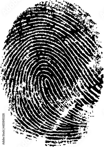 Very detailed vector fingerprint