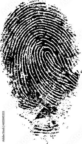 Black and White Vector Fingerprint - Very accurately scanned and traced ( Vector is transparent so it can be overlaid on other images, vectors etc.)