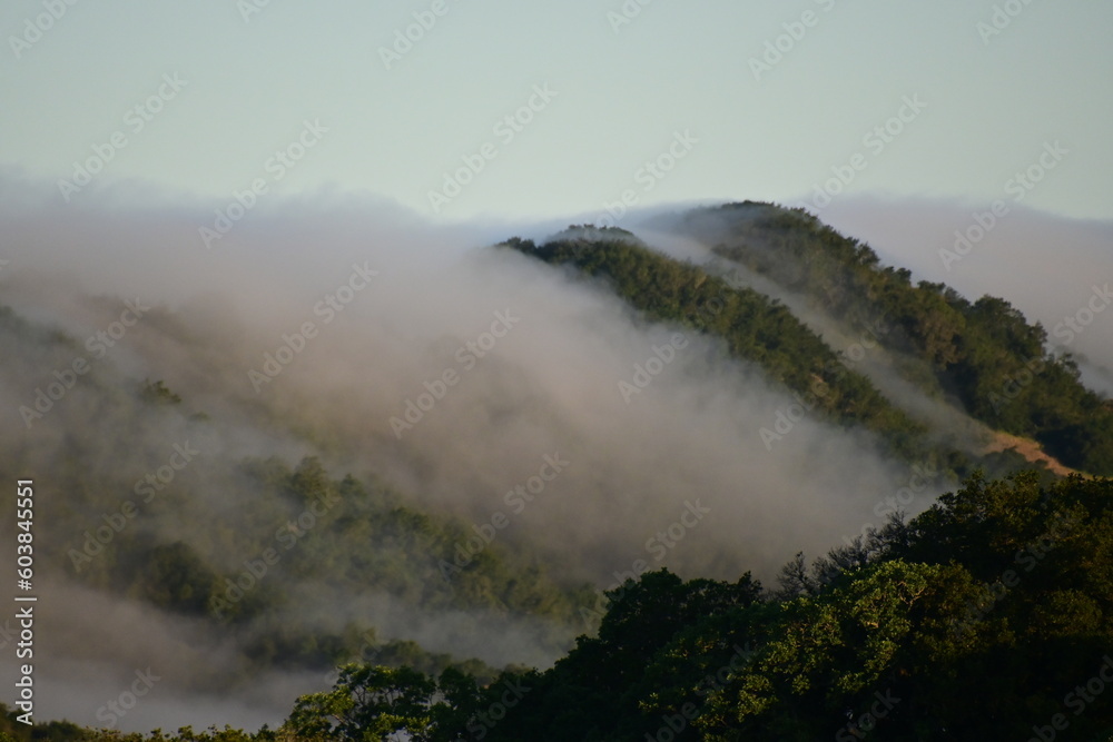 fog in the mountains