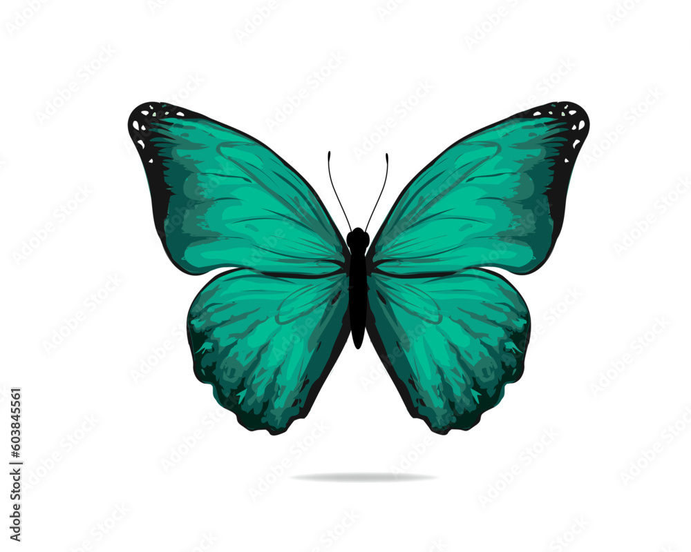 Obraz premium watercolor hand drawing painting brush butterfly design