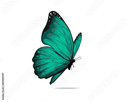 watercolor hand drawing painting brush butterfly design