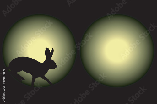 Vector illustration of a rabbit caught in car headlights at night