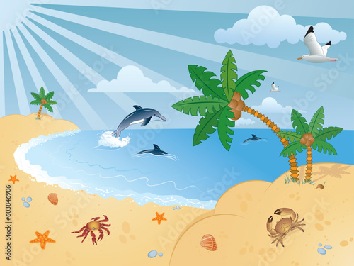 Detailed summer background with palm tree  coconut  dolphin  sea-gull  crab  starfish...  vector illustration