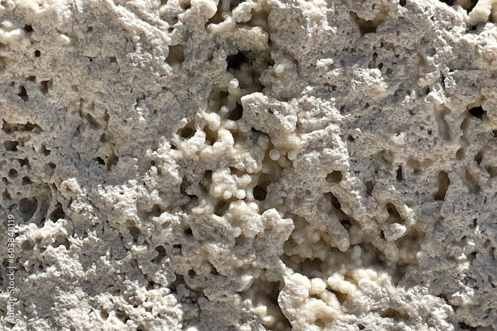 close up of  stone