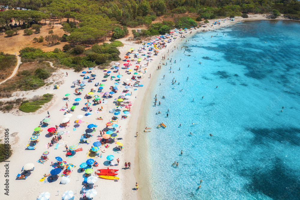 Aerial view of umbrellas, beautiful sandy beach, swimming people in blue sea, trees at sunset in summer. Sardinia, Italy. Tropical landscape with clear azure water. Travel and vacation. Top drone view