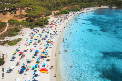 Aerial view of umbrellas, beautiful sandy beach, swimming people in blue sea, trees at sunset in summer. Sardinia, Italy. Tropical landscape with clear azure water. Travel and vacation. Top drone view © den-belitsky