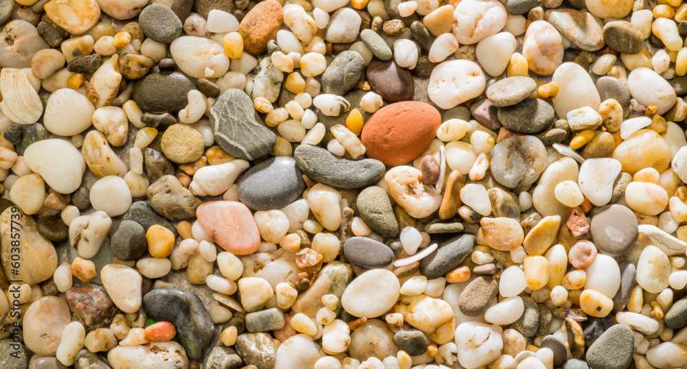 sea pebbles macro for background sea pebbles macro for background