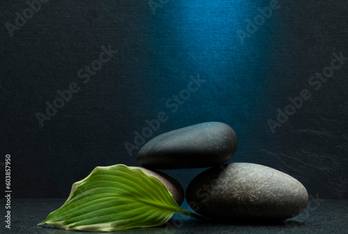 Photography stones and plants for product presentation podium