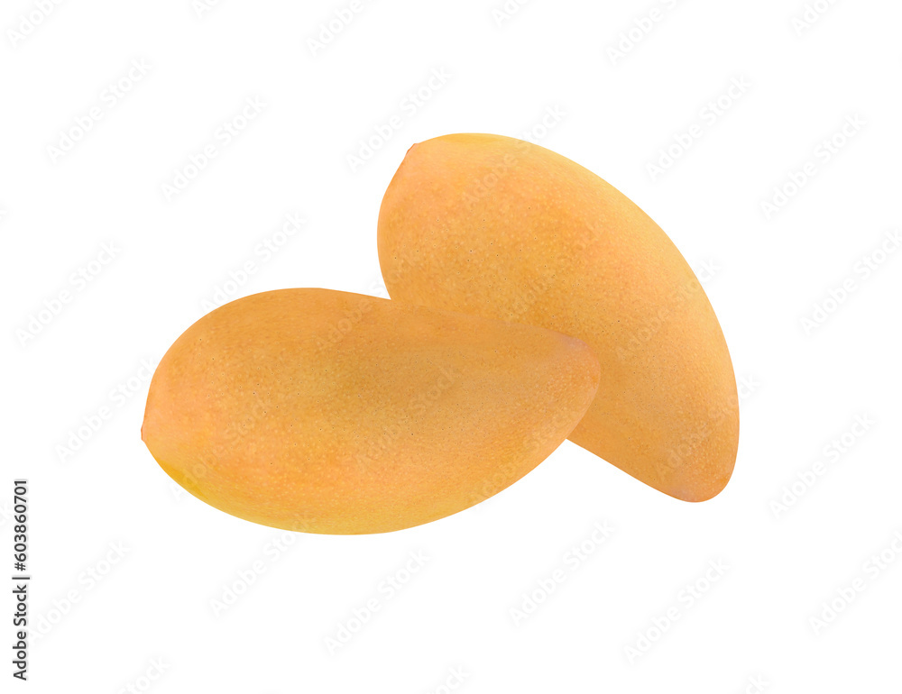 Obraz premium mango isolated on transparent png