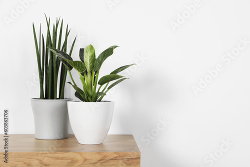 Different houseplants in pots on wooden table near white wall, space for text