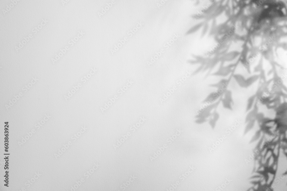 Obraz premium Shadow of plant branches on light background, space for text