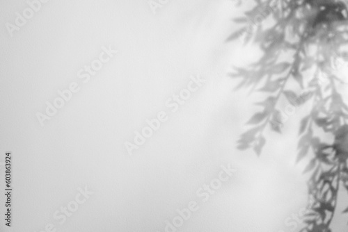 Shadow of plant branches on light background  space for text