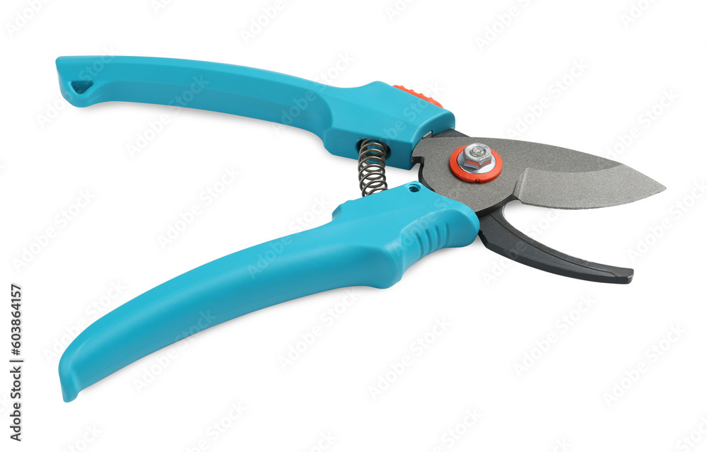 Secateurs with light blue handles isolated on white. Gardening tool Secateurs with light blue handles isolated on white. Gardening tool