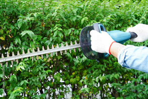 Gardener trimming bush by electric hedge clippers in garden. Hobby at home.