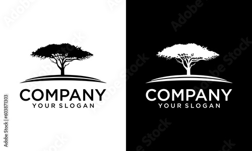 Vector illustration of a black acacia silhouette. Isolated white background. Icon acacia tree side view profile.
