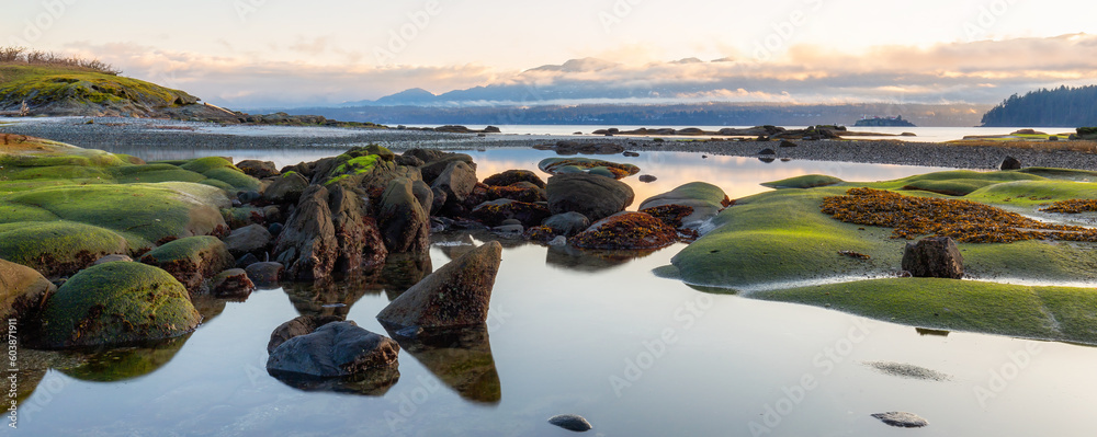 Rocky Shore on the Ocean Coast. Canadian Nature Background. Hornby Island, British Columbia, Canada. Sunset Sky - obrazy, fototapety, plakaty 