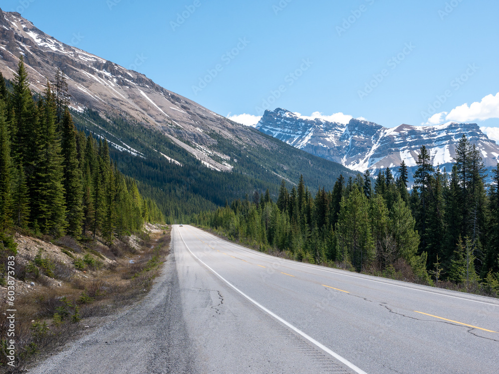 car, icefield parway, alberta canada