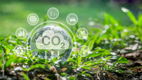 net zero and carbon neutral concept Reducing CO2 Emissions in Hands for the Environment Global Warming Sustainable Development and green business from renewable energy