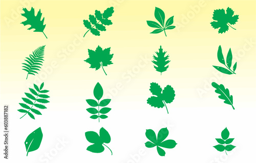 Set of green plant branches. Leaves of trees and plants. Collection green leaf. Elements design for natural, eco, bio, vegan labels, banner and poster. Editable vector, easy to change color. eps 10.