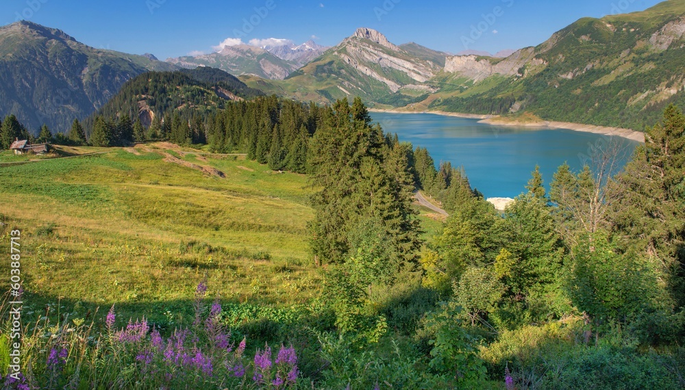beautiful scenic landscape with  blue water of  Roselend dam and peak montain back in green meadow in french Alps.