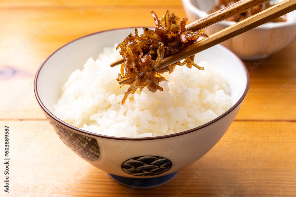 白ごはんと生姜とちりめんじゃこの佃煮 白ごはんと生姜とちりめんじゃこの佃煮