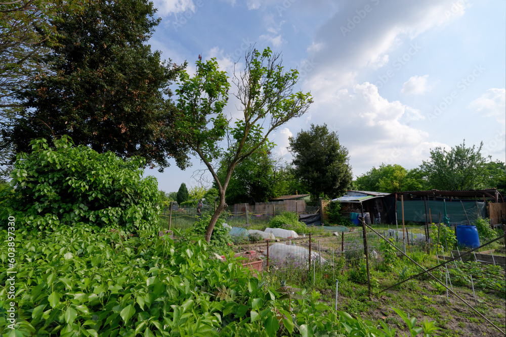 Allotment garden along the  Paris fortifications in Île-de-France Region