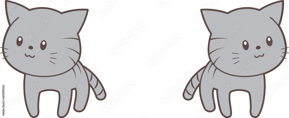 Obraz premium 周りを見回しながら歩く猫