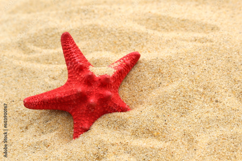 A red starfish lies on the yellow sand. A red starfish lies on the yellow sand.