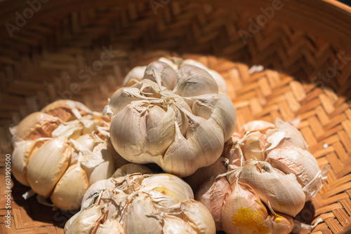 Close up garlic on rattan basket background. Garlic on wicker basket background