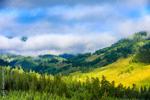 Green mountain and forest with sky cloud natural scenery in Xinjiang, China.