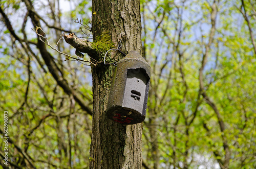 Woodcrete bat roosting box hanging on a tree