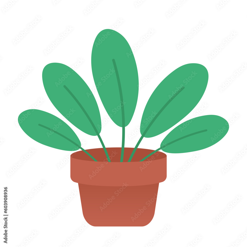 plant in a pot plant in a pot