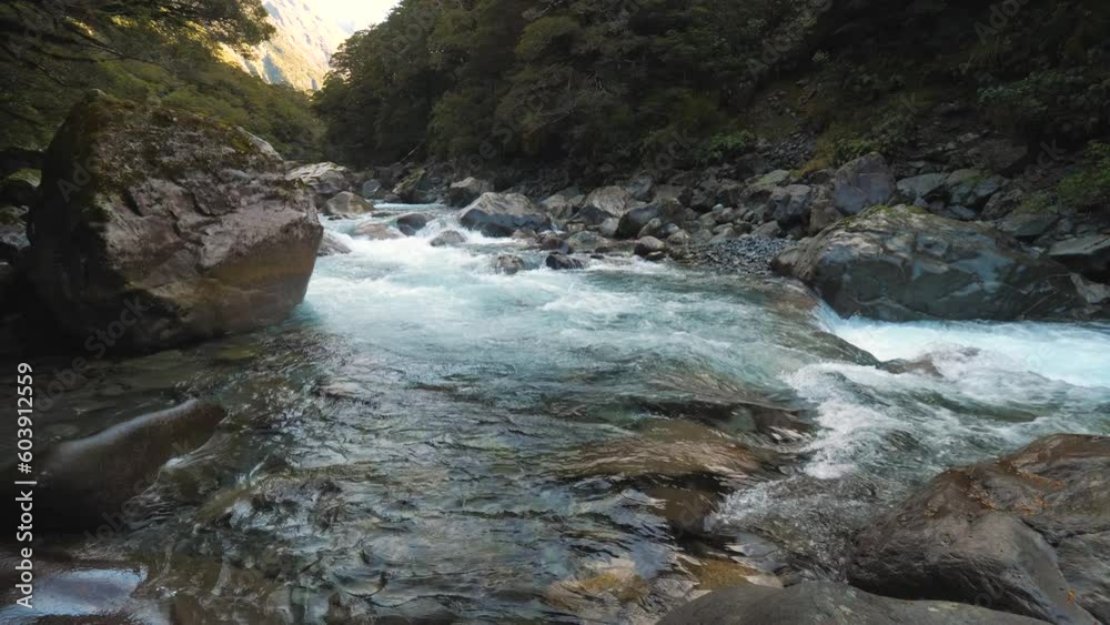Glacial river in Fiordland National Park, travel in New Zealand South Island Glacial river in Fiordland National Park, travel in New Zealand South Island