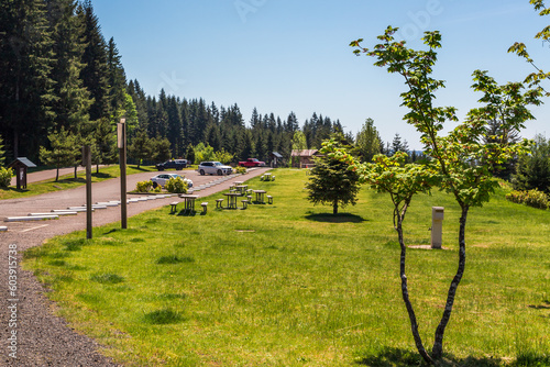 Fototapeta Naklejka Na Ścianę i Meble -  Parking area in the L.L. Stub Stewart State Park in Oregon