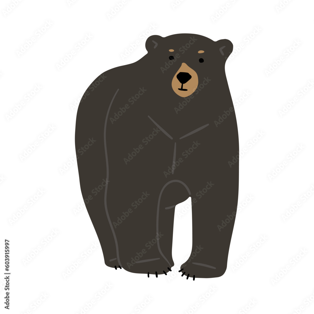 Fototapeta premium American Black Bear Single cute 16, vector illustration