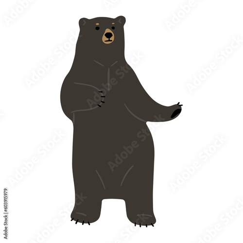 American Black Bear Single cute 17  vector illustration