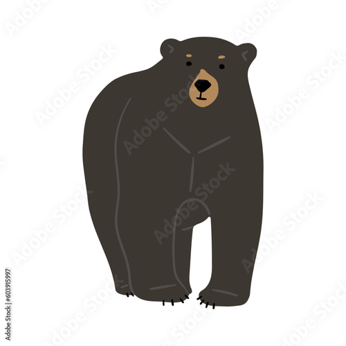 American Black Bear Single cute 16  vector illustration