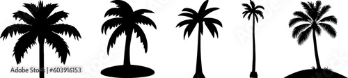 Palm tree icons. Black silhouette of tropical coconut tree set