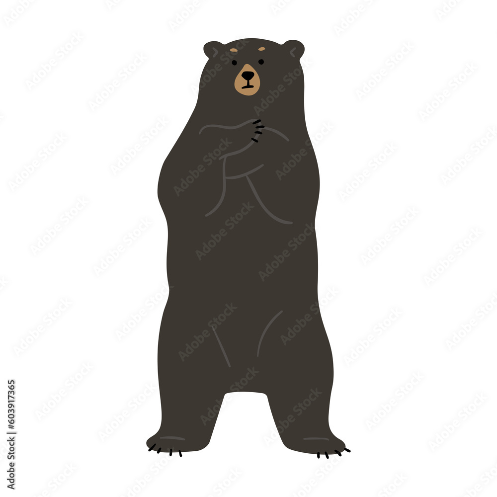 American Black Bear Single cute 15, png illustration