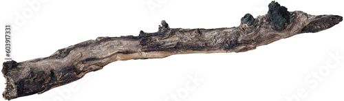 Dry branch tree naturally.