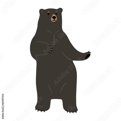 American Black Bear Single cute 17  png illustration