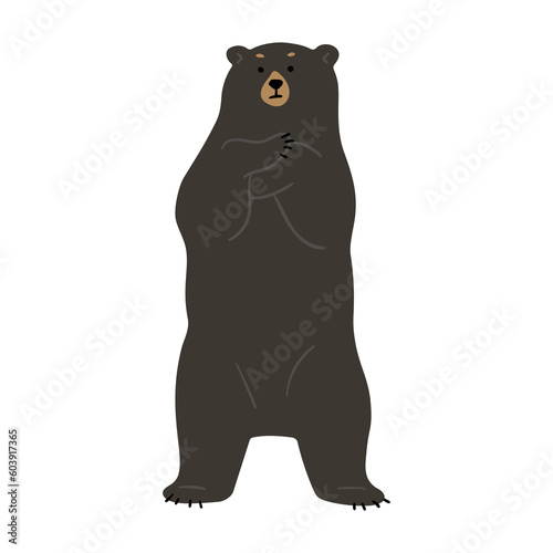 American Black Bear Single cute 15  png illustration