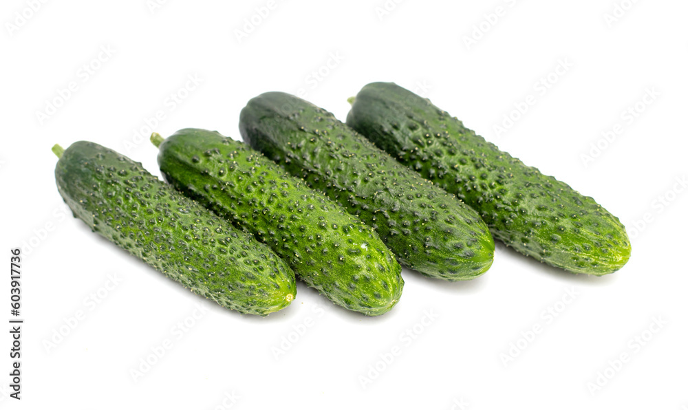 ripe cucumber with pimples on white background ripe cucumber with pimples on white background
