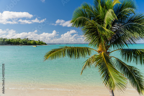 Fototapeta Naklejka Na Ścianę i Meble -  Luxury hotel resort in Rarotonga, Cook Islands with crystal clear blue waters