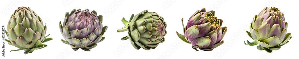 Obraz premium Set of artichoke isolated on transparent background 