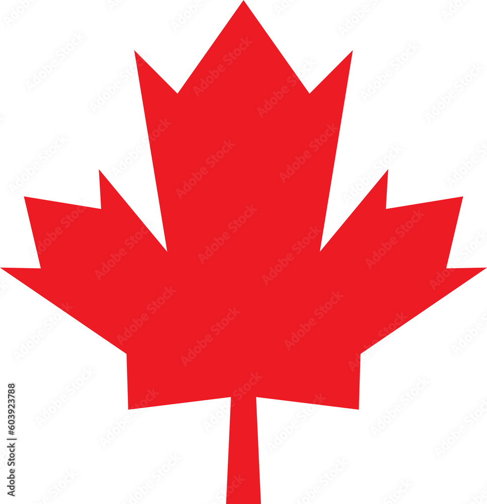 The maple leaf symbol for Canada day concept The maple leaf symbol for Canada day concept
